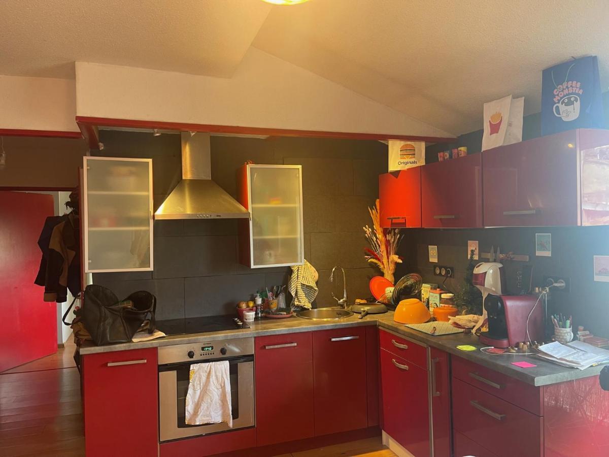 Appartement Au Centre Ville De Toulouse Eksteriør billede