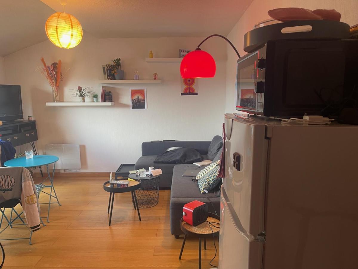 Appartement Au Centre Ville De Toulouse Eksteriør billede